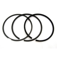 Piston Ring Set  Standard size 300 + 200 TDi