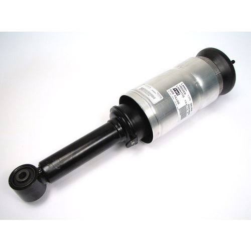 Front Shock Absorber / Air Spring Disco3